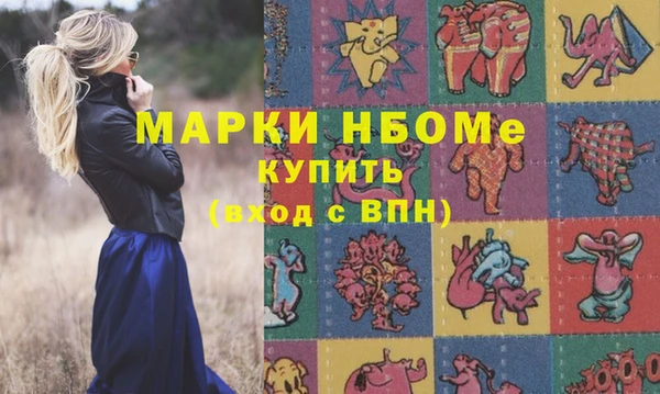 твердый Надым