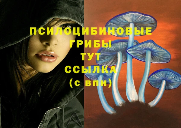альфа пвп Нефтегорск