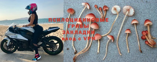 альфа пвп Нефтегорск