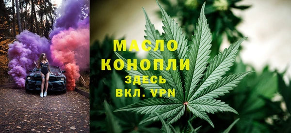 твердый Надым